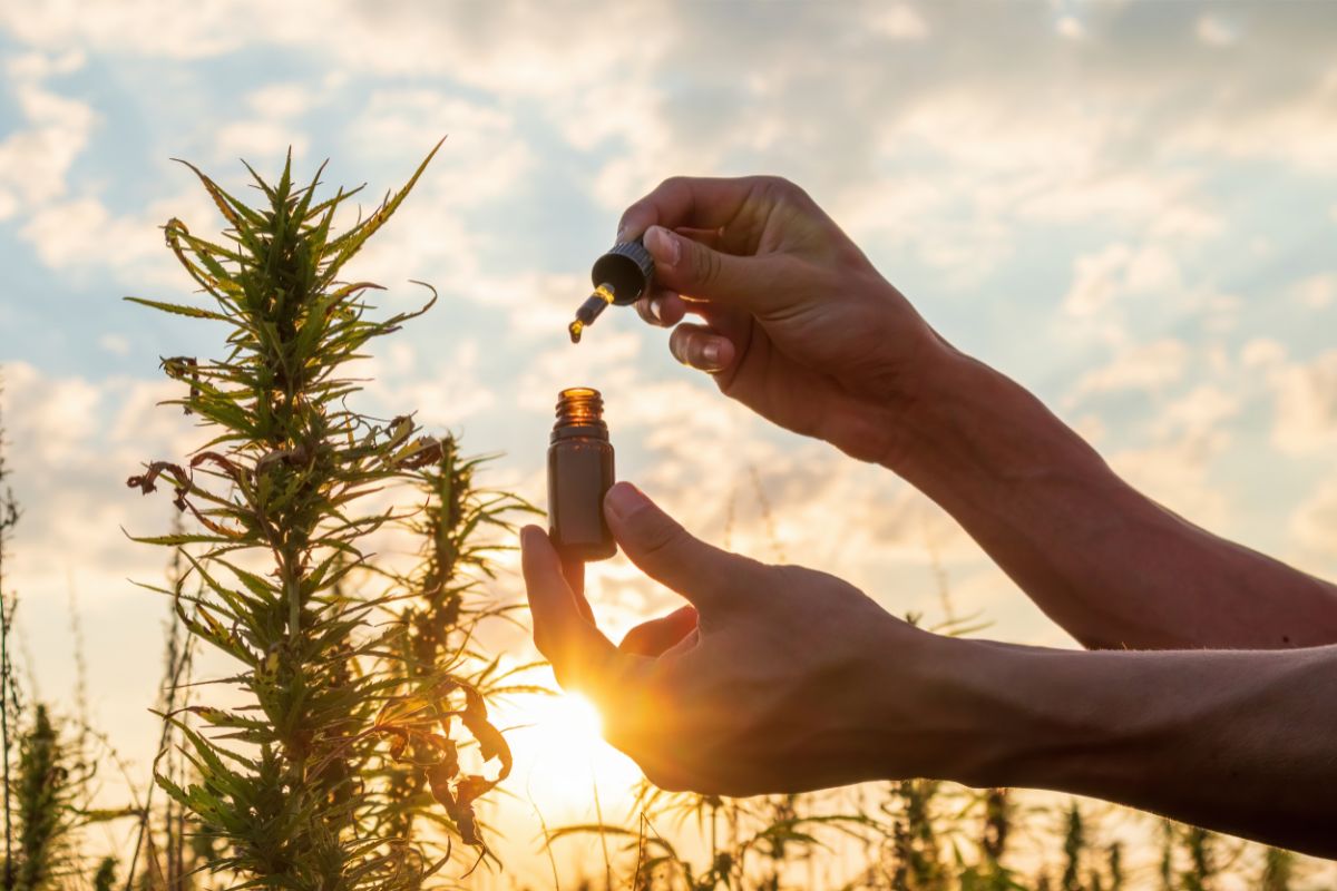 How To Flavor CBD Oil: 5 Great Options For A Better Taste