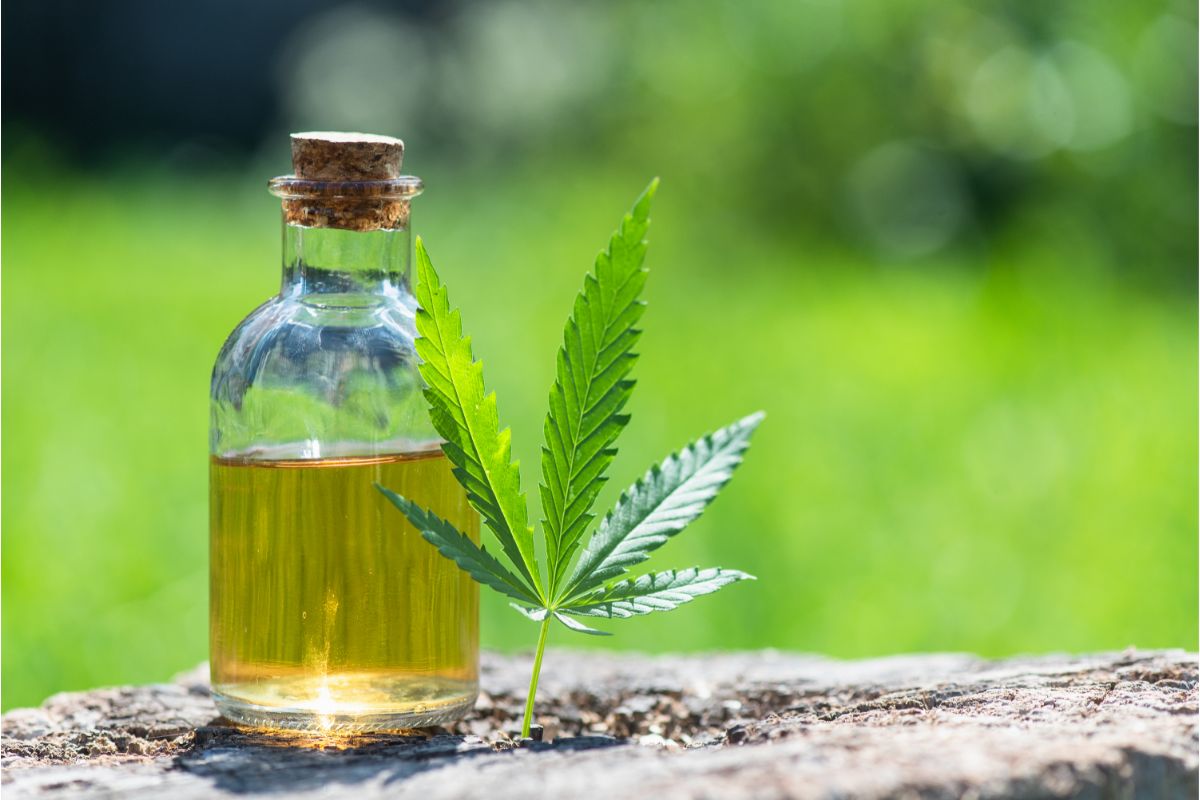 What Does CBD Oil Taste Like?