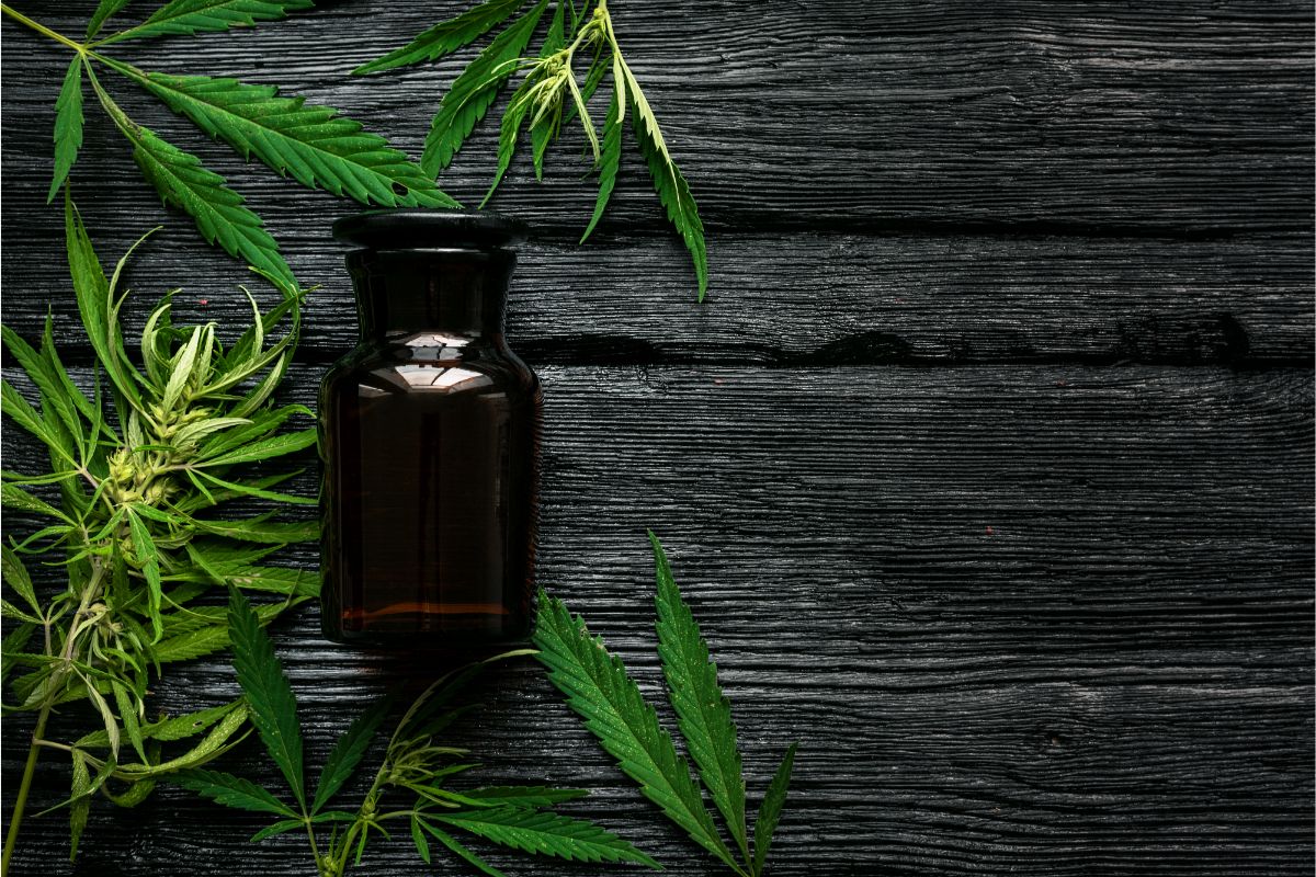 When Is The Best Time To Take CBD Oil?